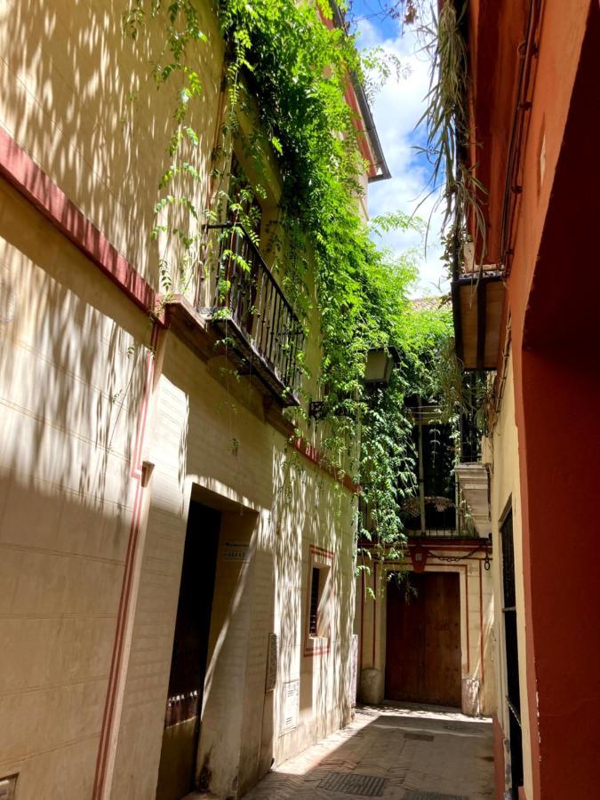 Acogedor Apt 8Pax 4Bdr 2Bth - Cozyhomesevilla1 外观 照片